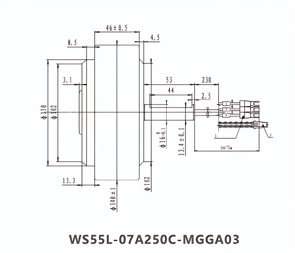 WS55L-07A250C-MGGA03