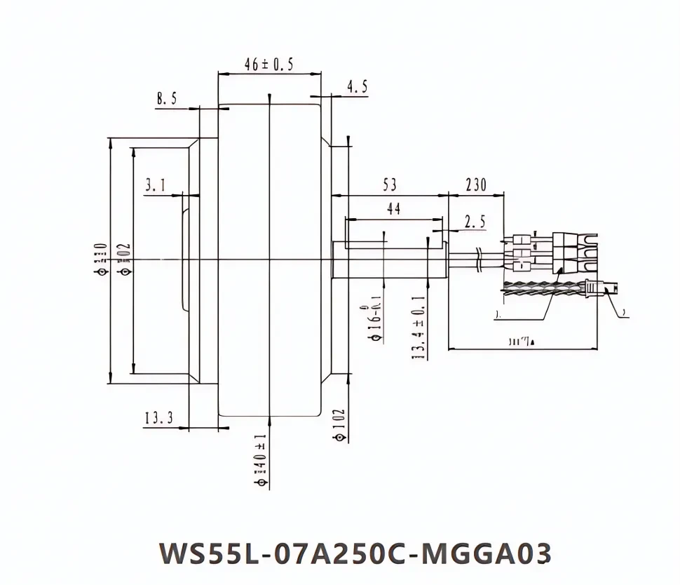 Чертеж WS55L-07A250C-MGGA03