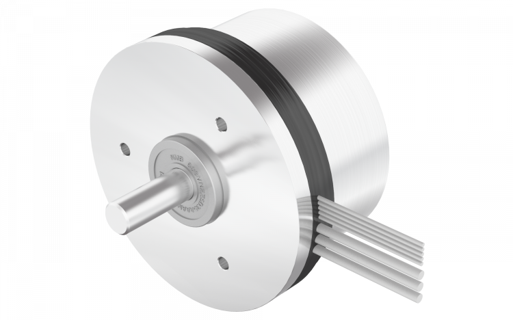 iBLD60W-T iBLD60W-T